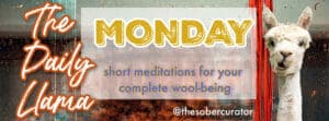Daily Llama MONDAY