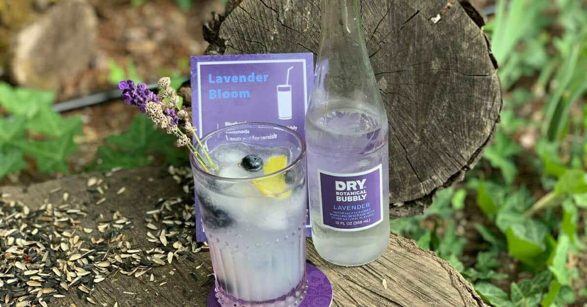 Happy Every Hour Dry Soda DRY ZERO PROOF LAVENDER BLOOM Insta copy