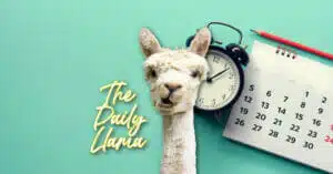 The Daily Llama clock instragram copy