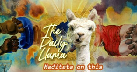 The Daily Llama budda instagram copy 2
