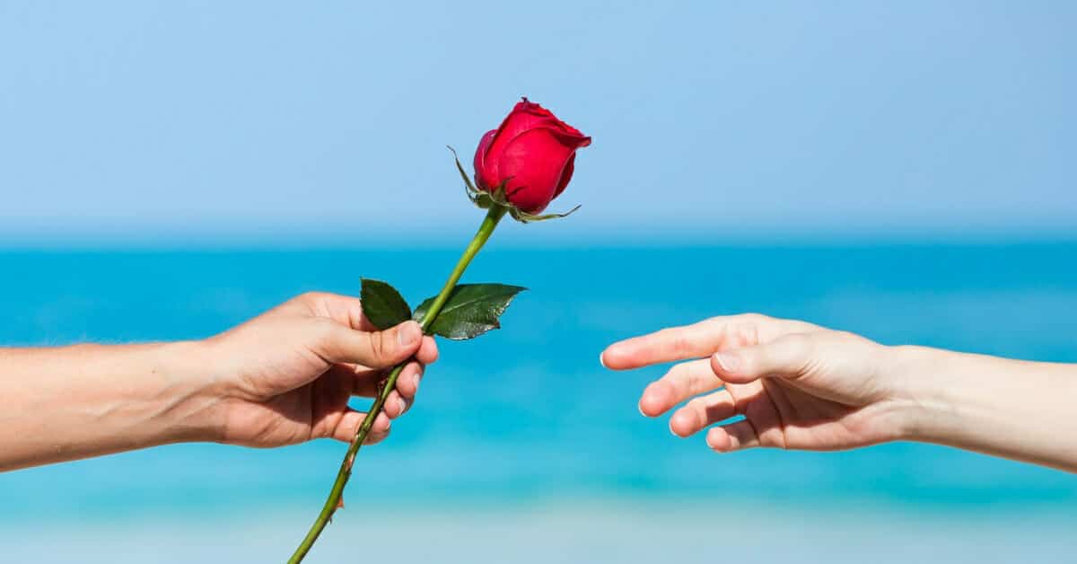 Sober Pop Bachelorette 1 1