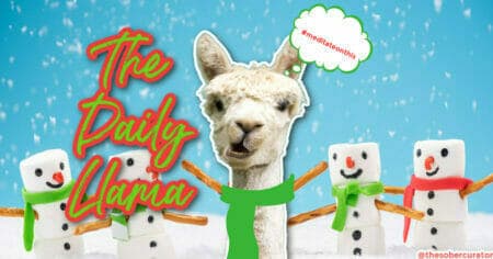 The Daily Llama 12 21 copy 2