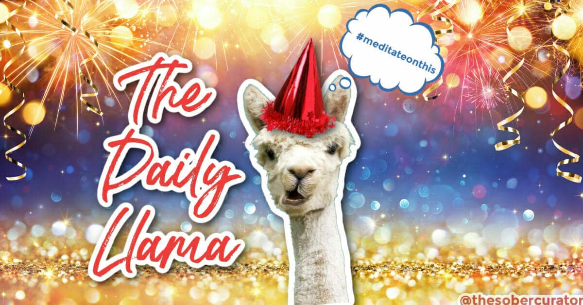 The Daily Llama 12 27 copy 4
