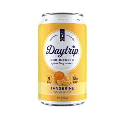 Daytrip CBD Infused Sparkling Tangerine
