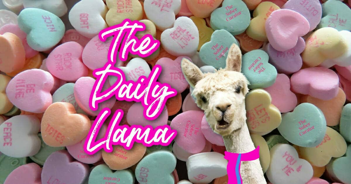 The Daily Llama Feb 8th copy 4