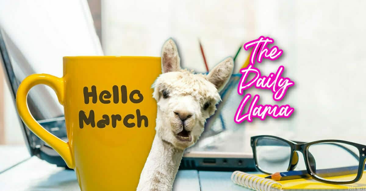 The Daily Llama March 1 5 copy 2