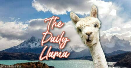 The Daily Llama March 22 26 copy 3