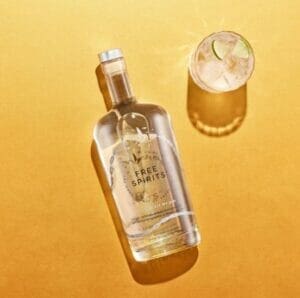 THE SPIRIT OF GIN | 750ML