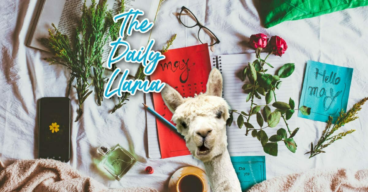 The Daily Llama May 10th 14th copy 5