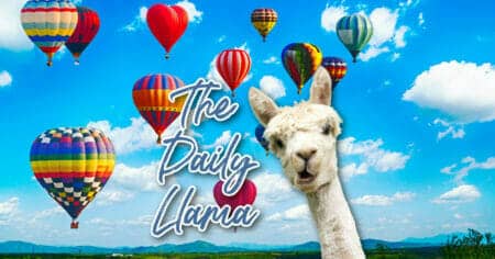 The Daily Llama May 24 28 copy 2 1