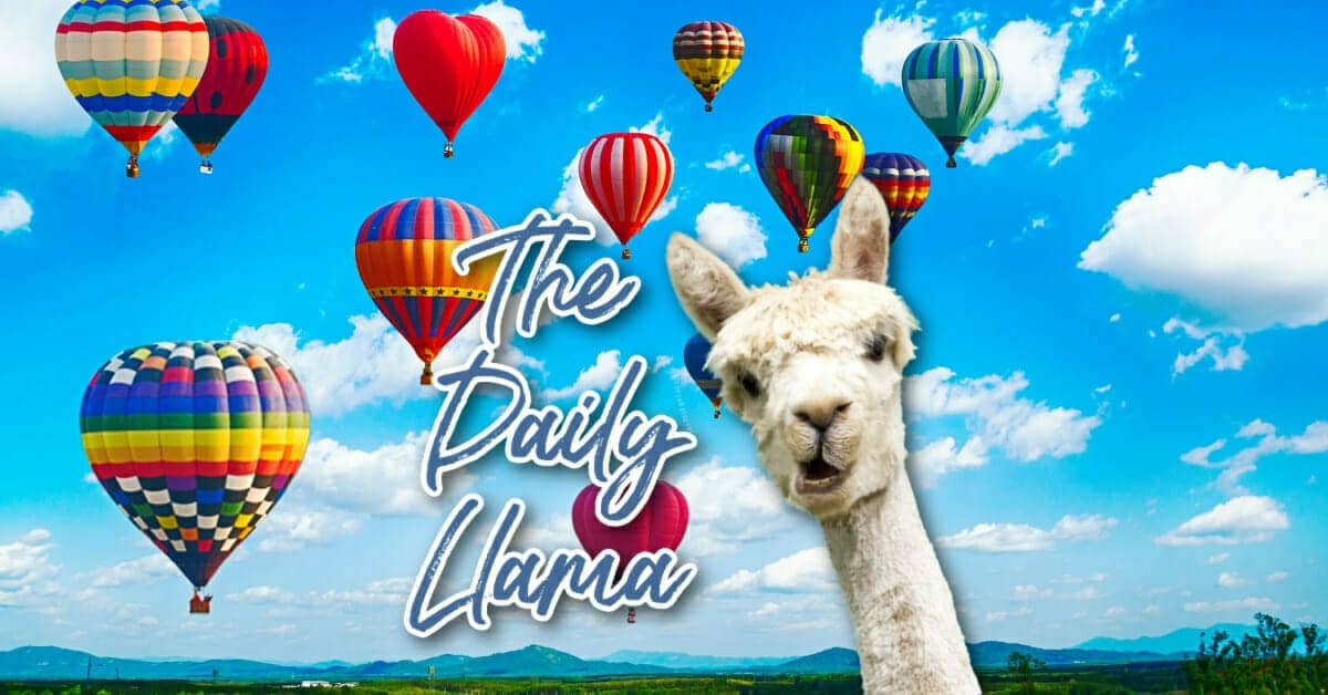 The Daily Llama May 24 28 copy 2 1