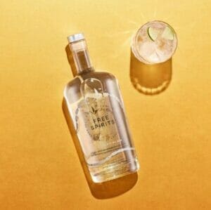 THE SPIRIT OF GIN | 750ML