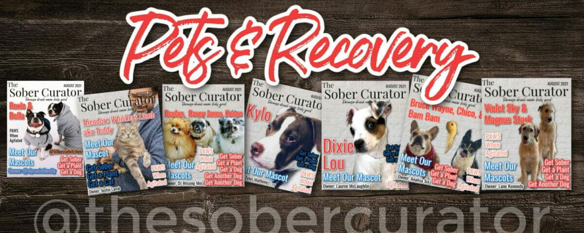 Pets and Recovery 2
