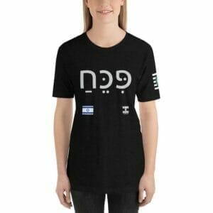SOBER INTERNATIONAL HEBREW CLASSIC SHORT-SLEEVE UNISEX T-SHIRT