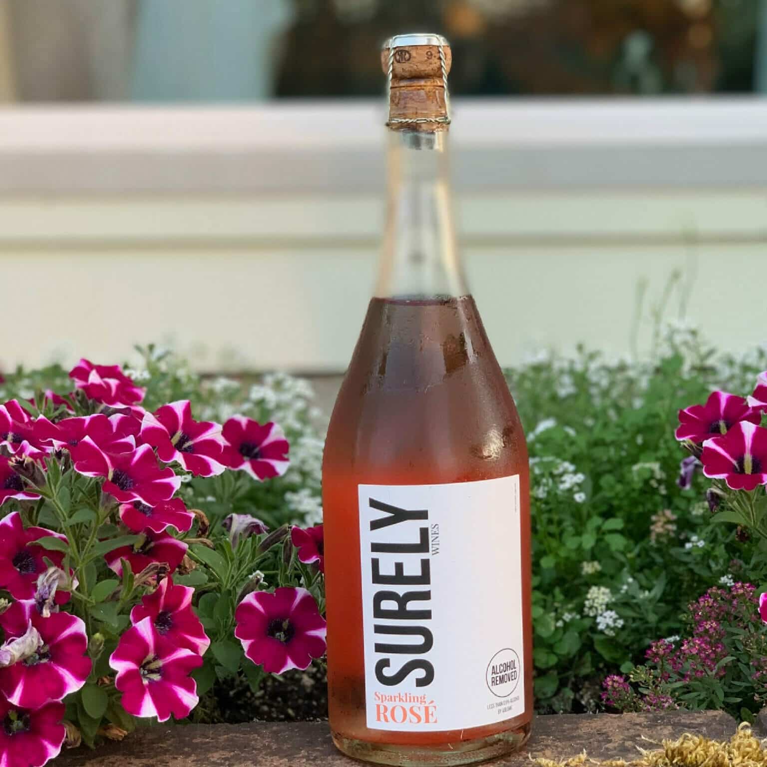 Surely Sparkling Rose
