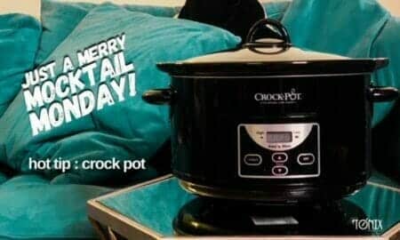 Tonix Mocktail Crockpot
