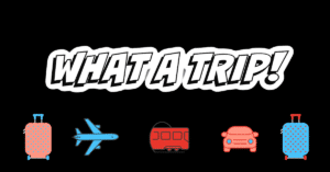 What A Trip The Sober Curator