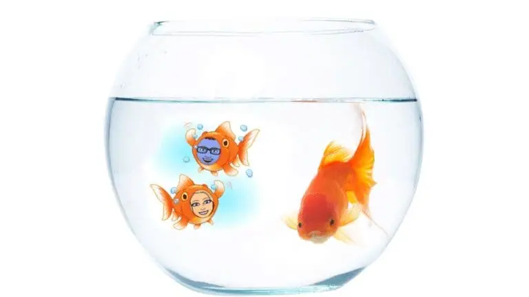 Relationship Conflicts: Taking the Bait