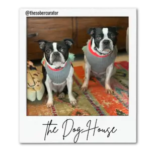Roxie and Bella Sober Curator Mascot