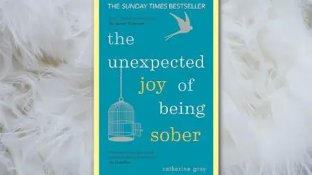 The-Unexpected-Joy-of-Being-Sober- quit lit book review