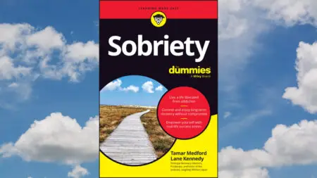 Sobriety for Dummies