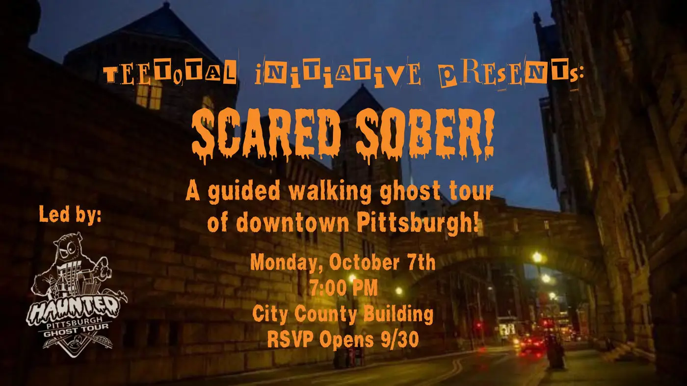 Scared Sober The Sober Curator