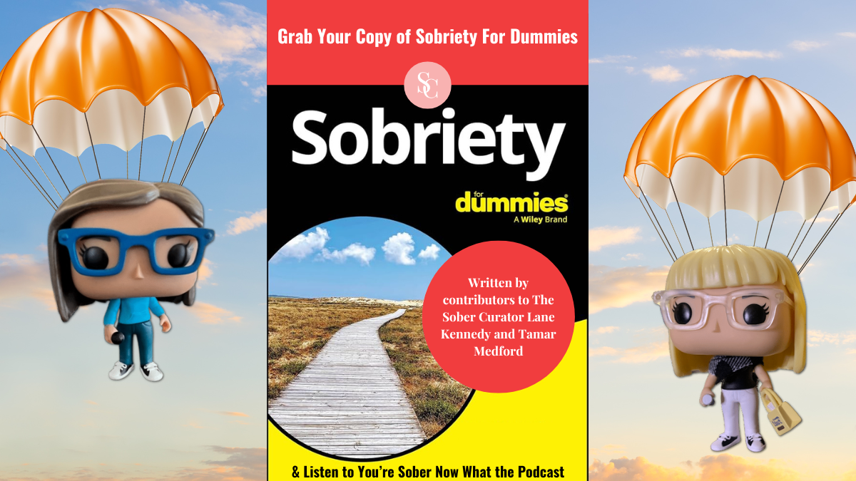sobriety for dummies with tamar and lane