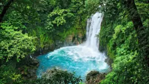 sober retreats with the sober curator