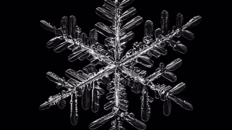 Classy Problems: Special Snowflake Syndrome