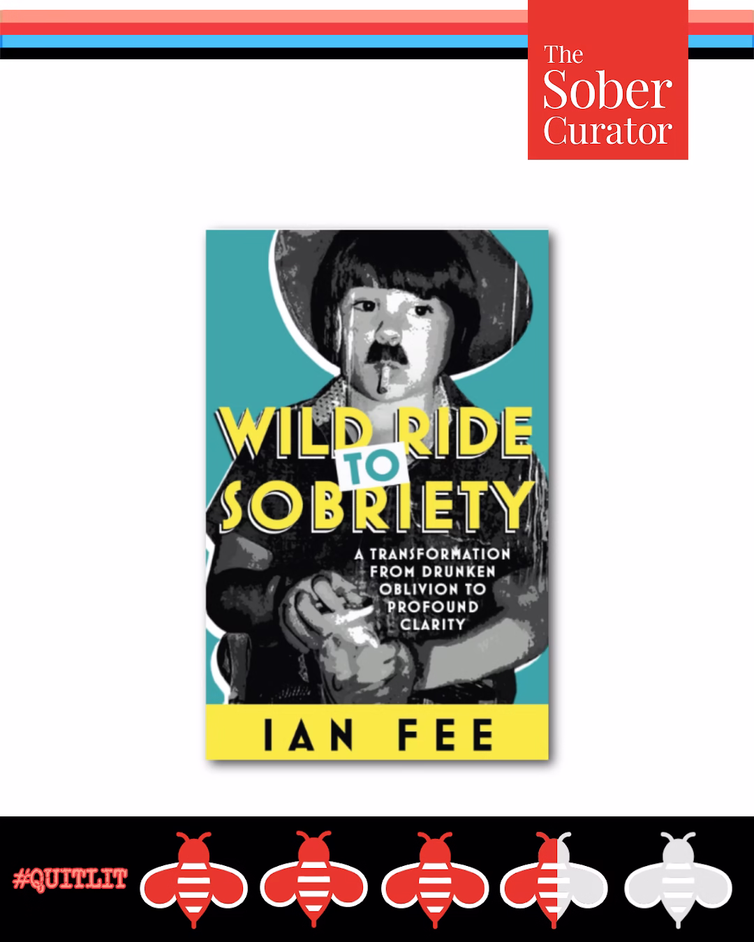 Wild Ride to Sobriety Ian Fee QUITLIT Memoir