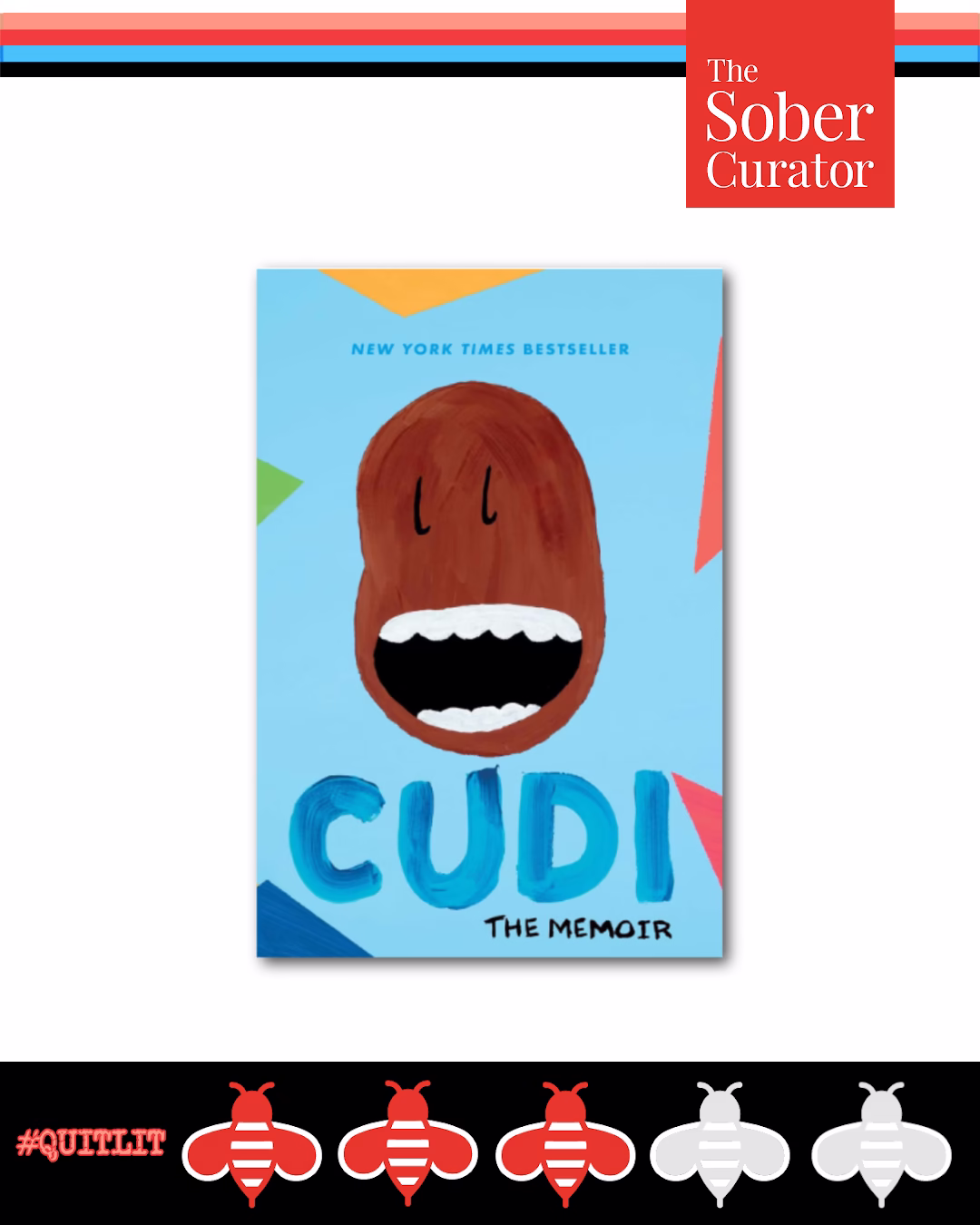 Cudi The Memoir 3 Sobees QUITLIT Book Review