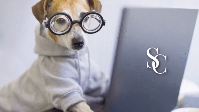 The Sober Curator’s Top 25 Most-Read Articles of 2025