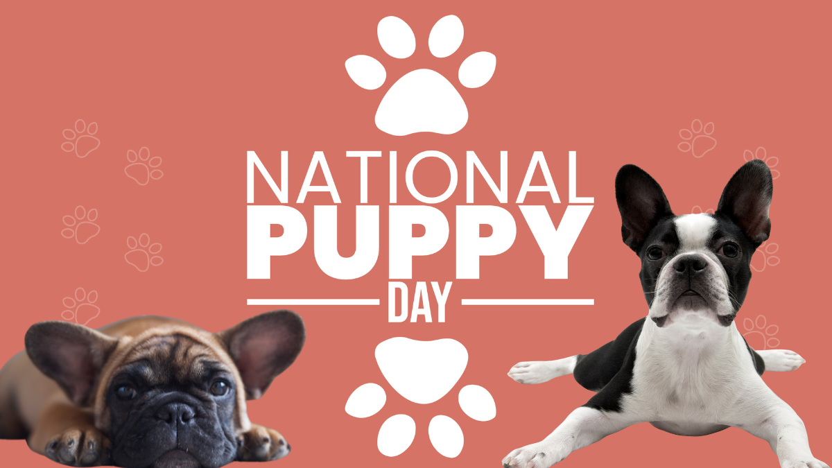 Sober Events Calendar National Puppy Day