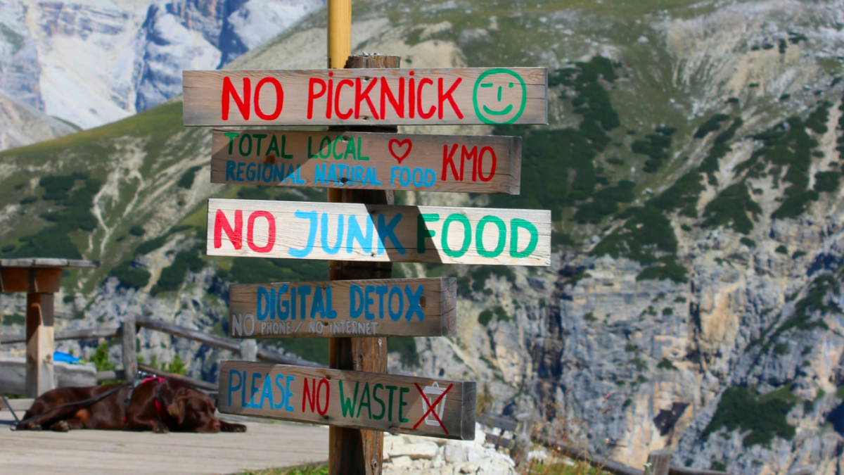 Digital Detox and Sober Retreats