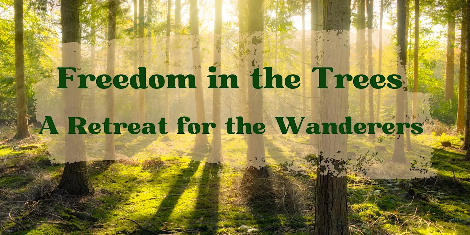 Freedom in the Trees - A Recovery Retreat