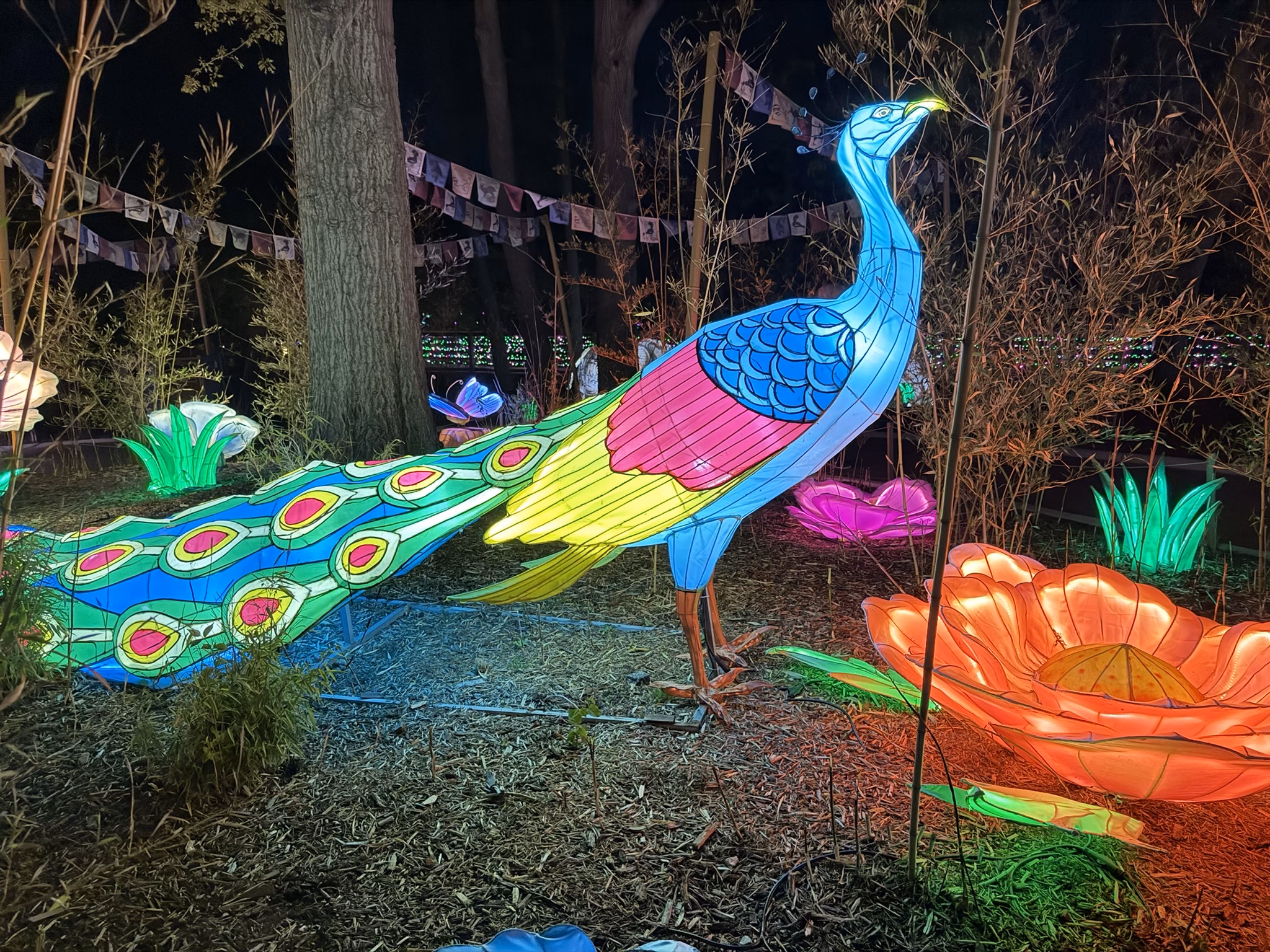 Fort Wayne Zoo GloWild2