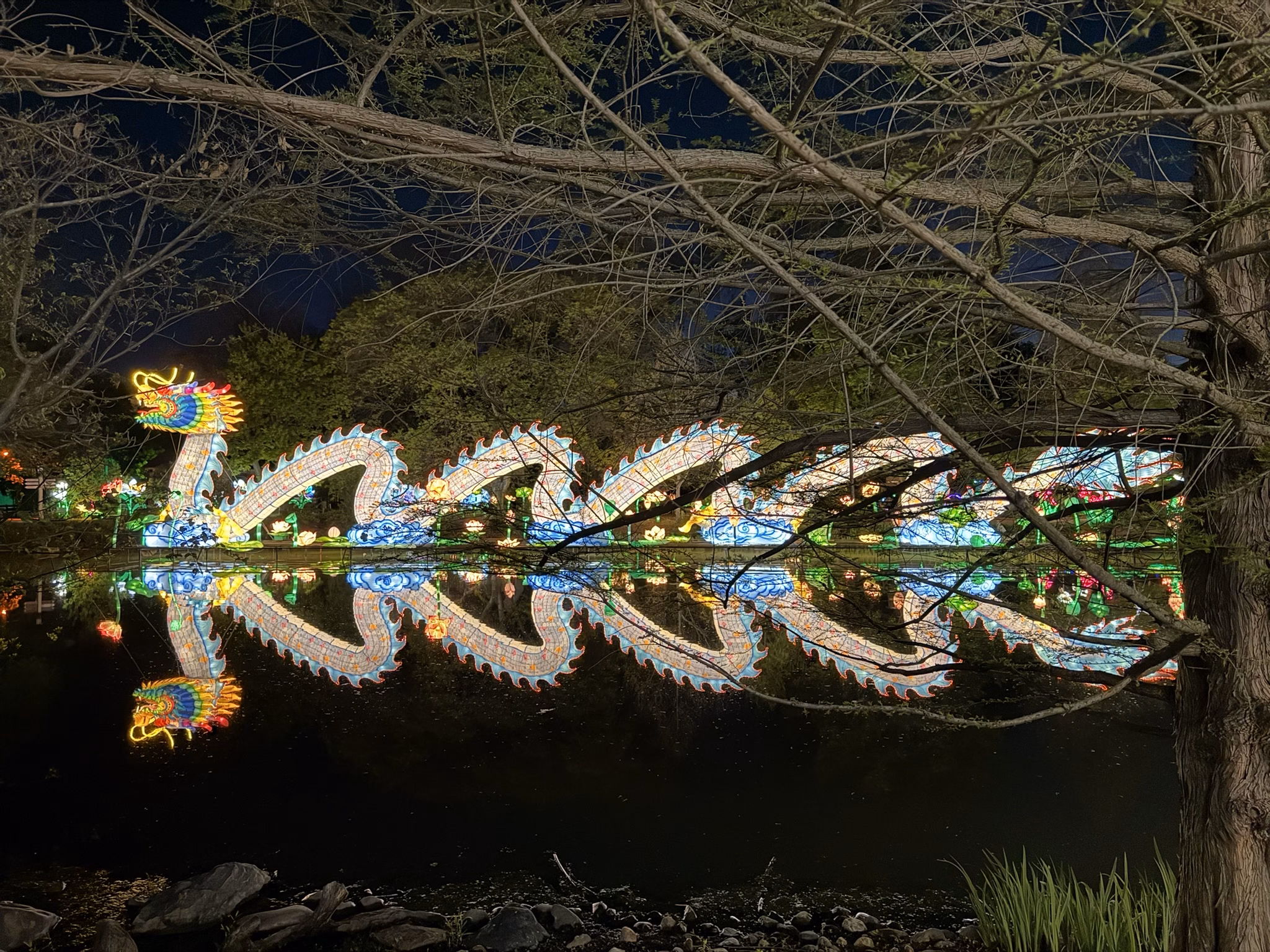 Fort Wayne Zoo GloWild2